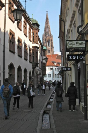 FeWo - Mitten In Freiburg